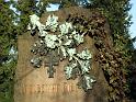 Neust.Friedhof (98)